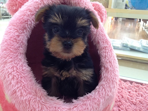 ☆バトンタッチ～☆