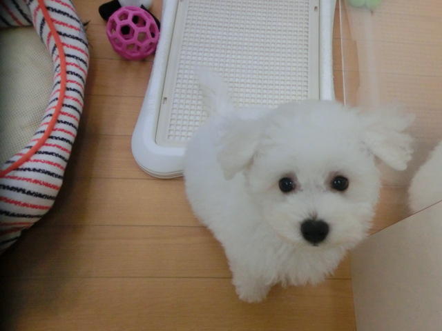 ★シャンプータイム★