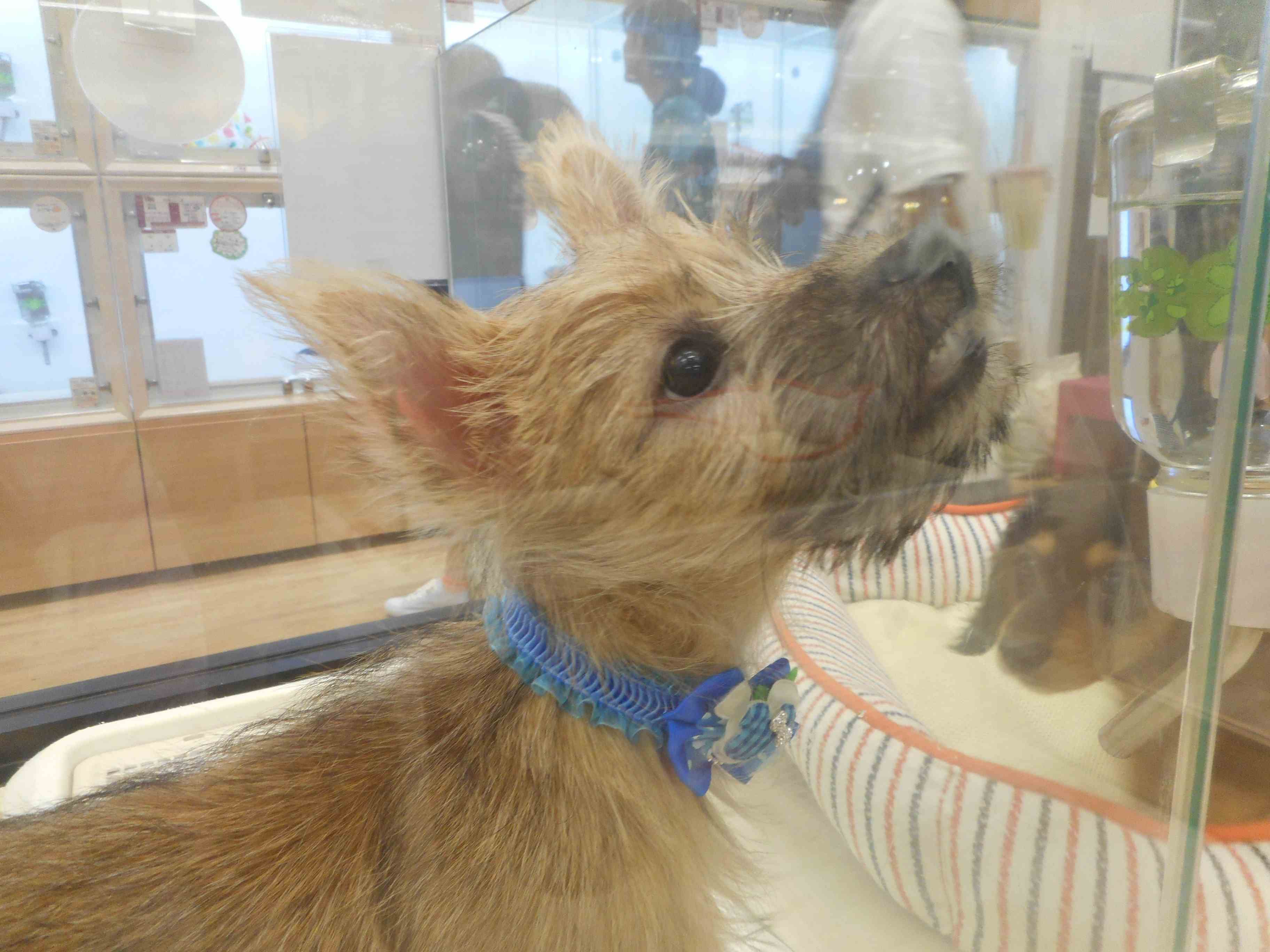 本日の主役・う・☆