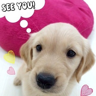 ☆おうちが決まりました～！☆