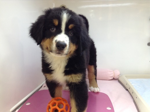 ☆ご報告ですッッ☆