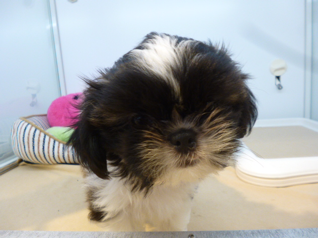 ☆お待たせいたしましたぁぁぁ！！！☆