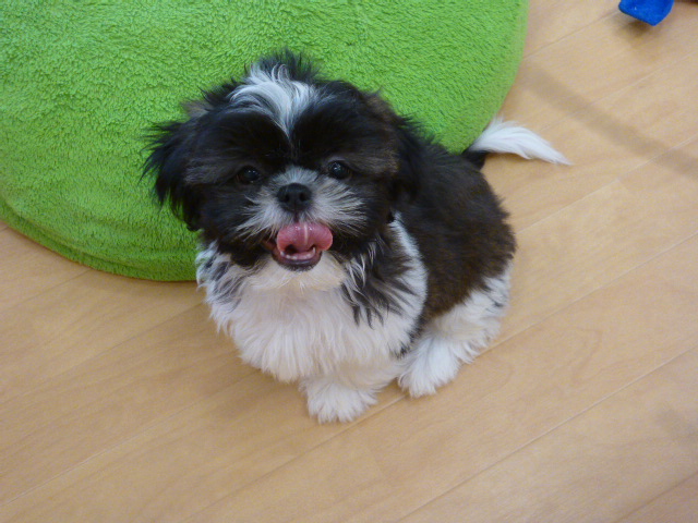 ☆しーちゃん卒業！☆