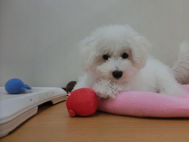 今日も元気！元気！