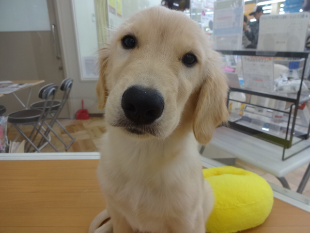 ☆　むくくん旅立ちの巻　☆