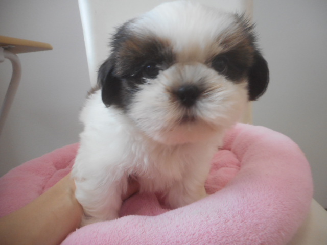 ☆バトンタッチ☆