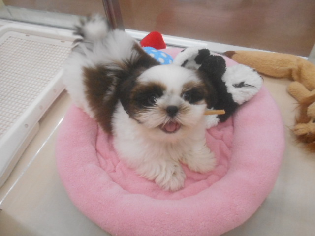 ❤おやつの時間❤