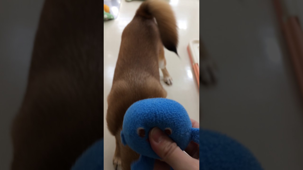 ☆上手にキャッチできるかな！？☆