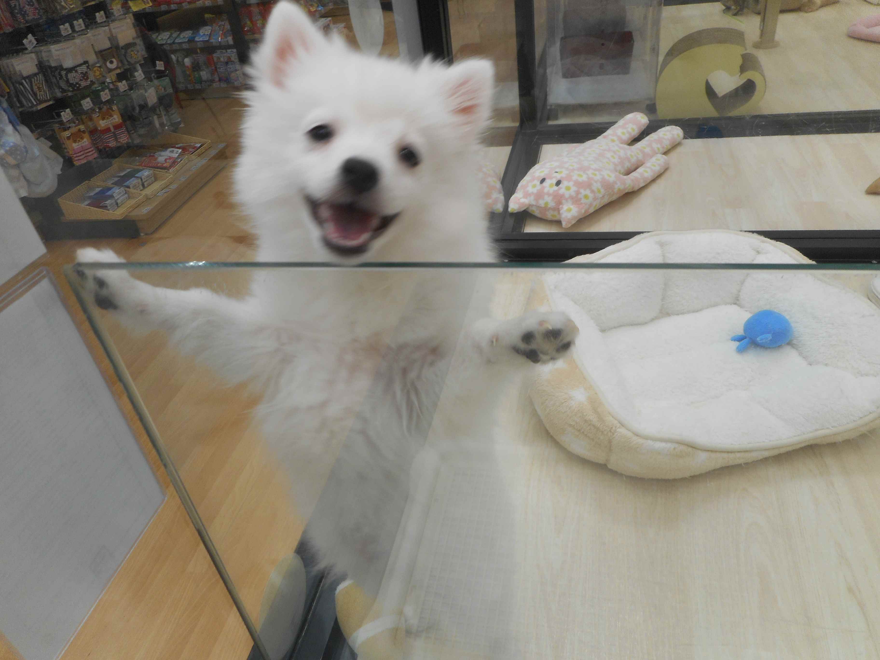 みんな私と遊ぼう～♪