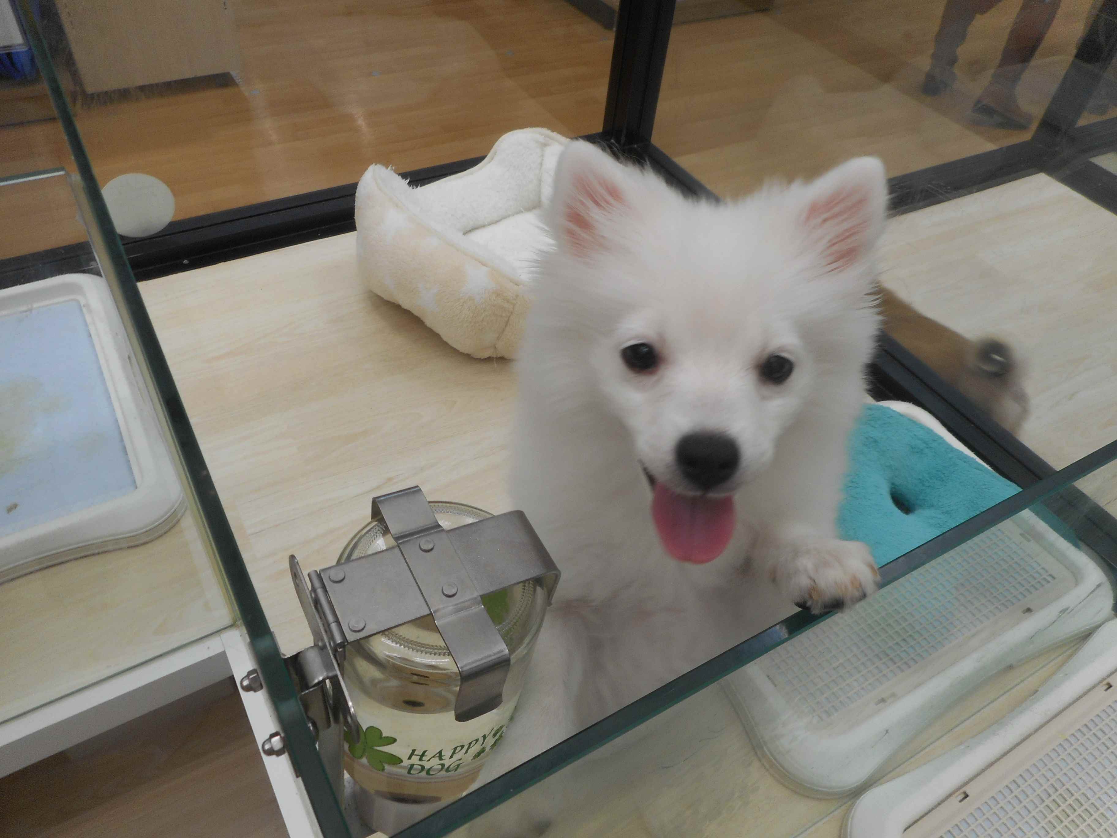スピちゃんの新しいお友達♪