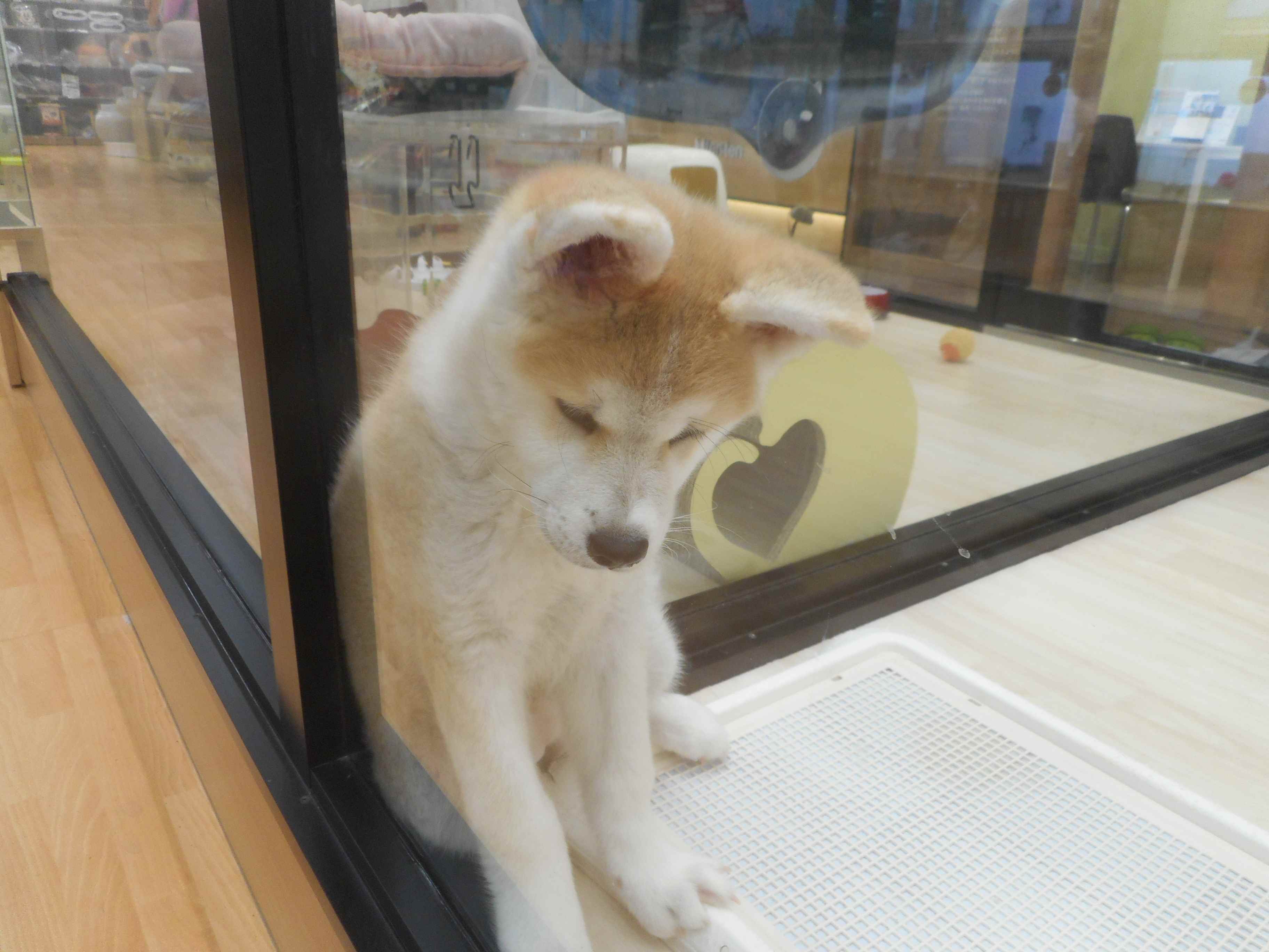 私、端っこが好き☆