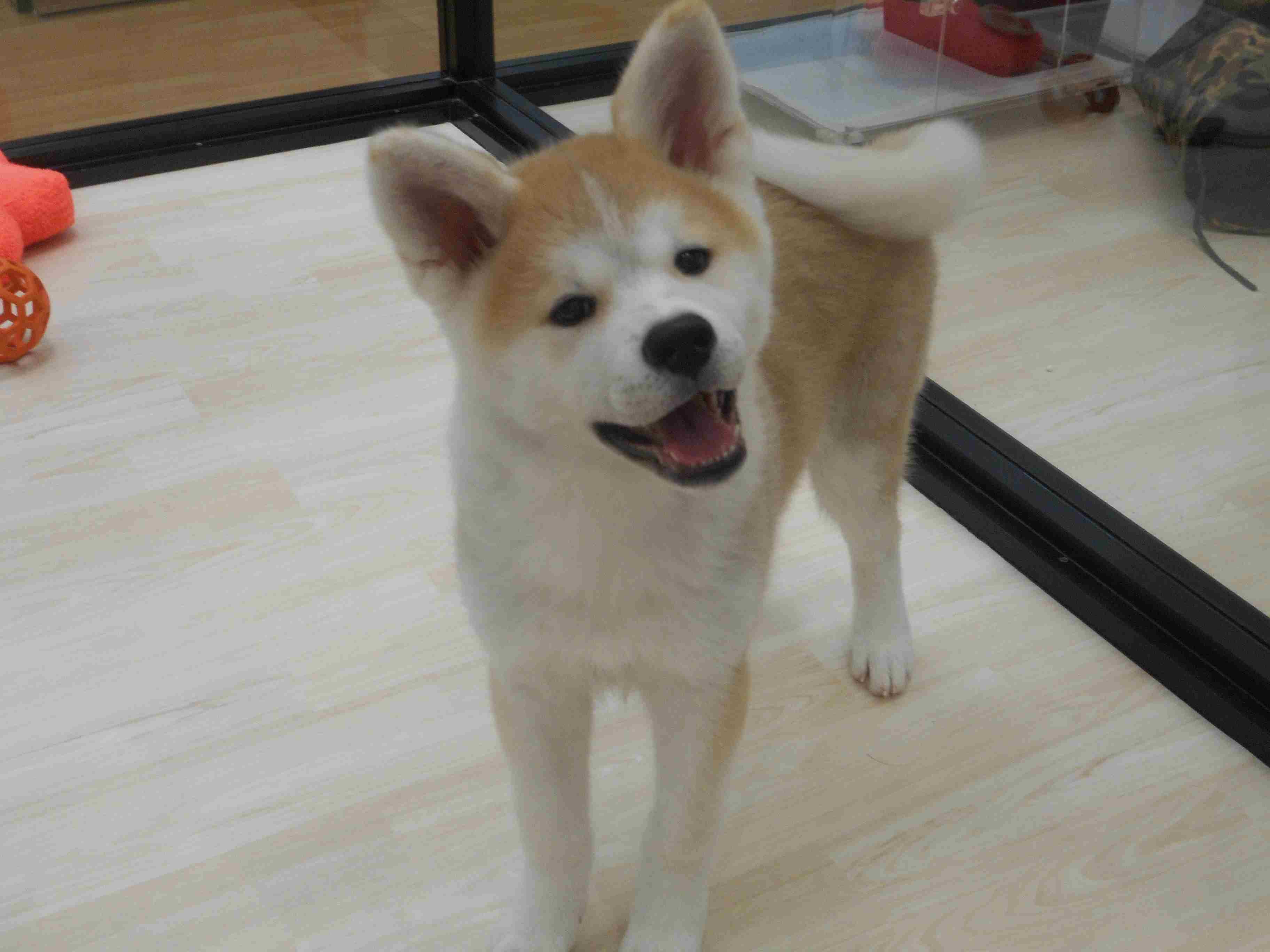 スッキリしました～（＾＾）♪