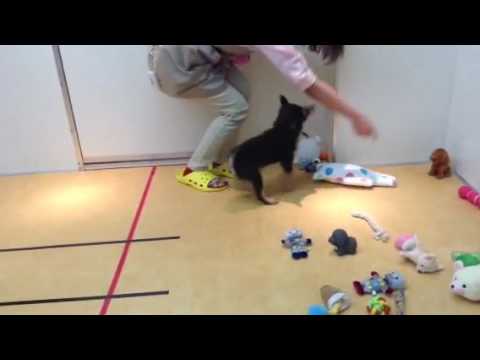 ☆苫小牧店チャレンジカップ☆