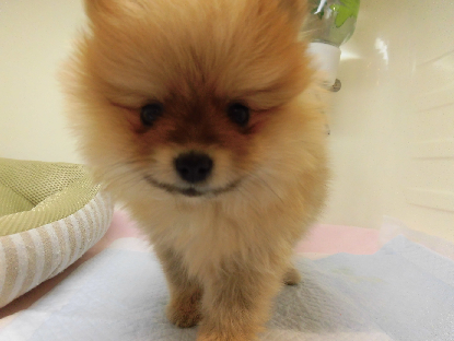 ☆おうちが決まりましたっ！！☆