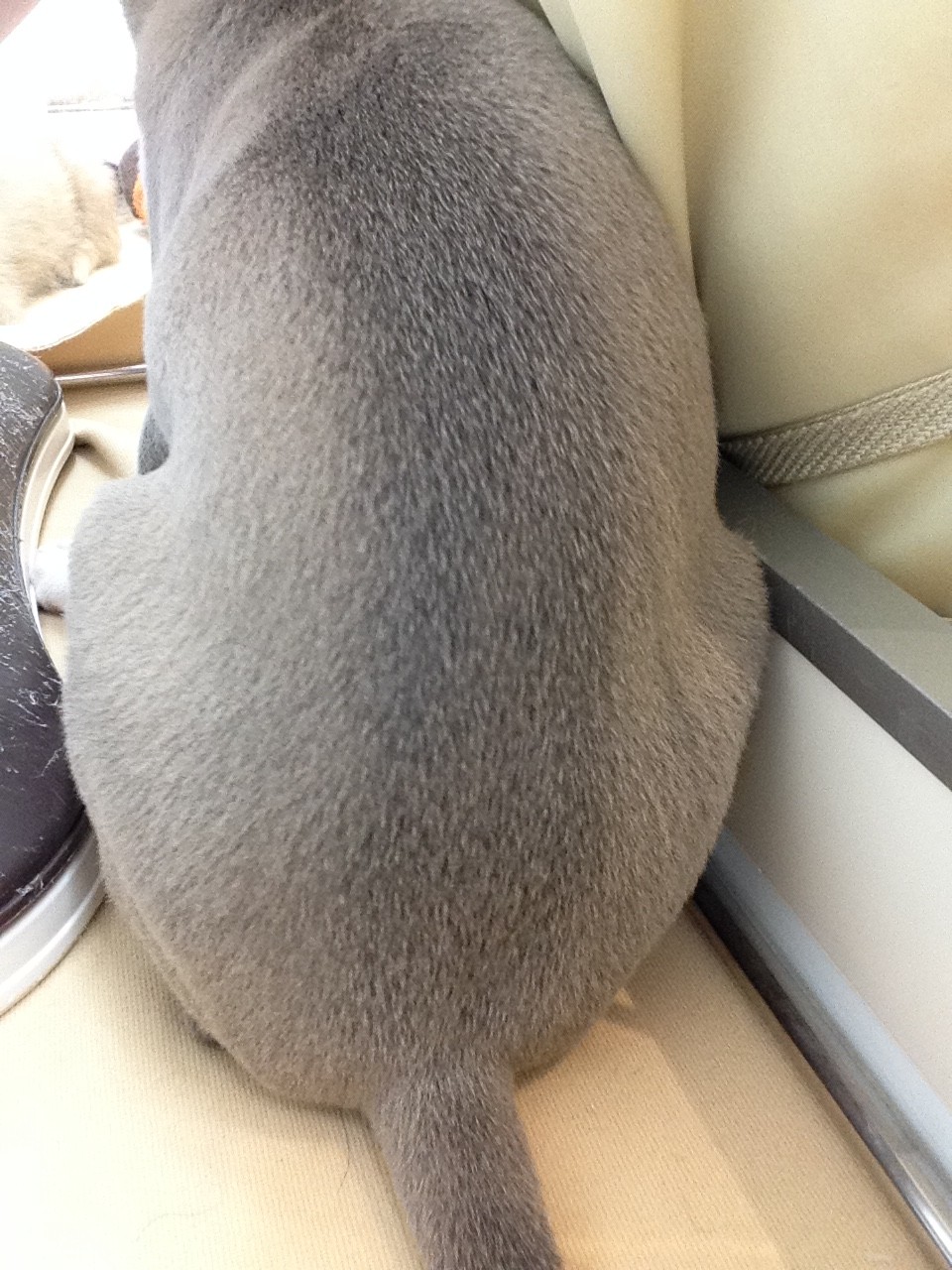 誰だと思いますぅ？（≧3≦）