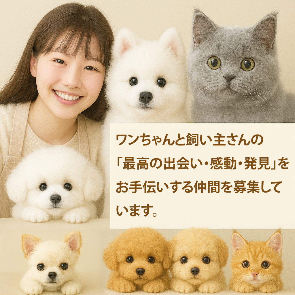 スタッフ募集のお知らせ