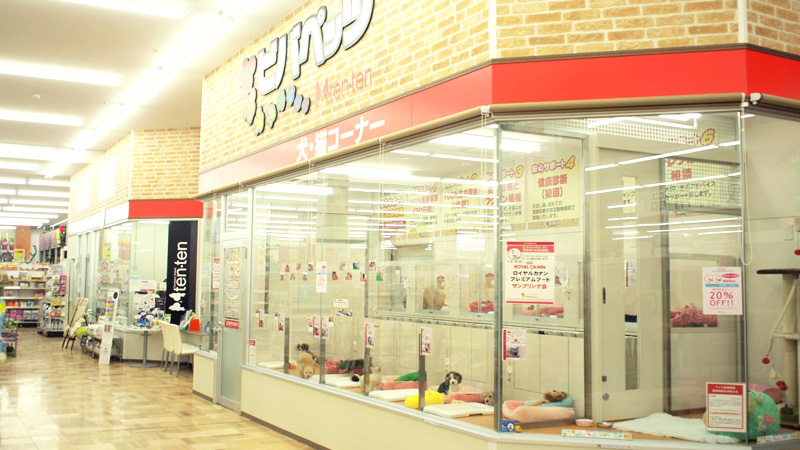 清田店 ペットハウステンテンペットハウステンテン 清田店 ペットハウステンテンペットハウステンテン