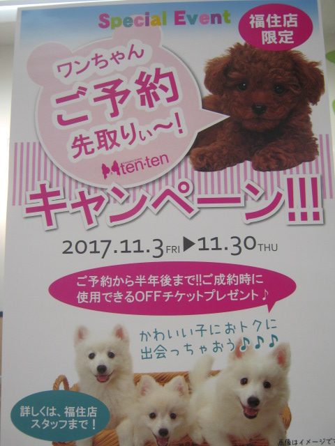 【福住店限定】お得なキャンペーンのお知らせ！！