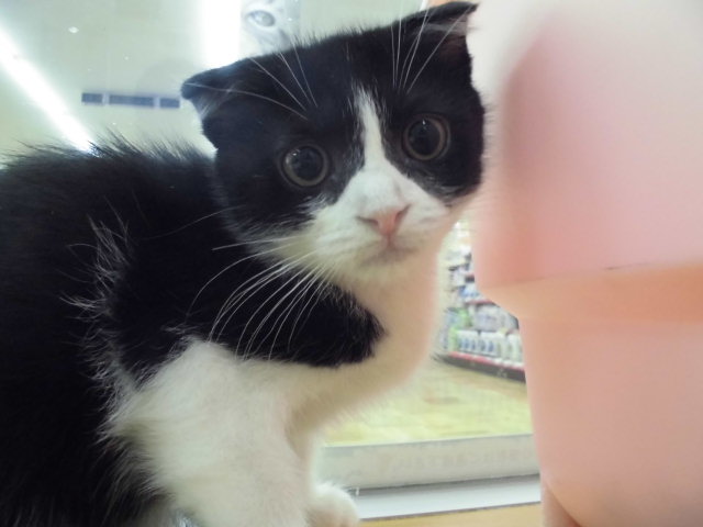 清田店に仲間入り☆