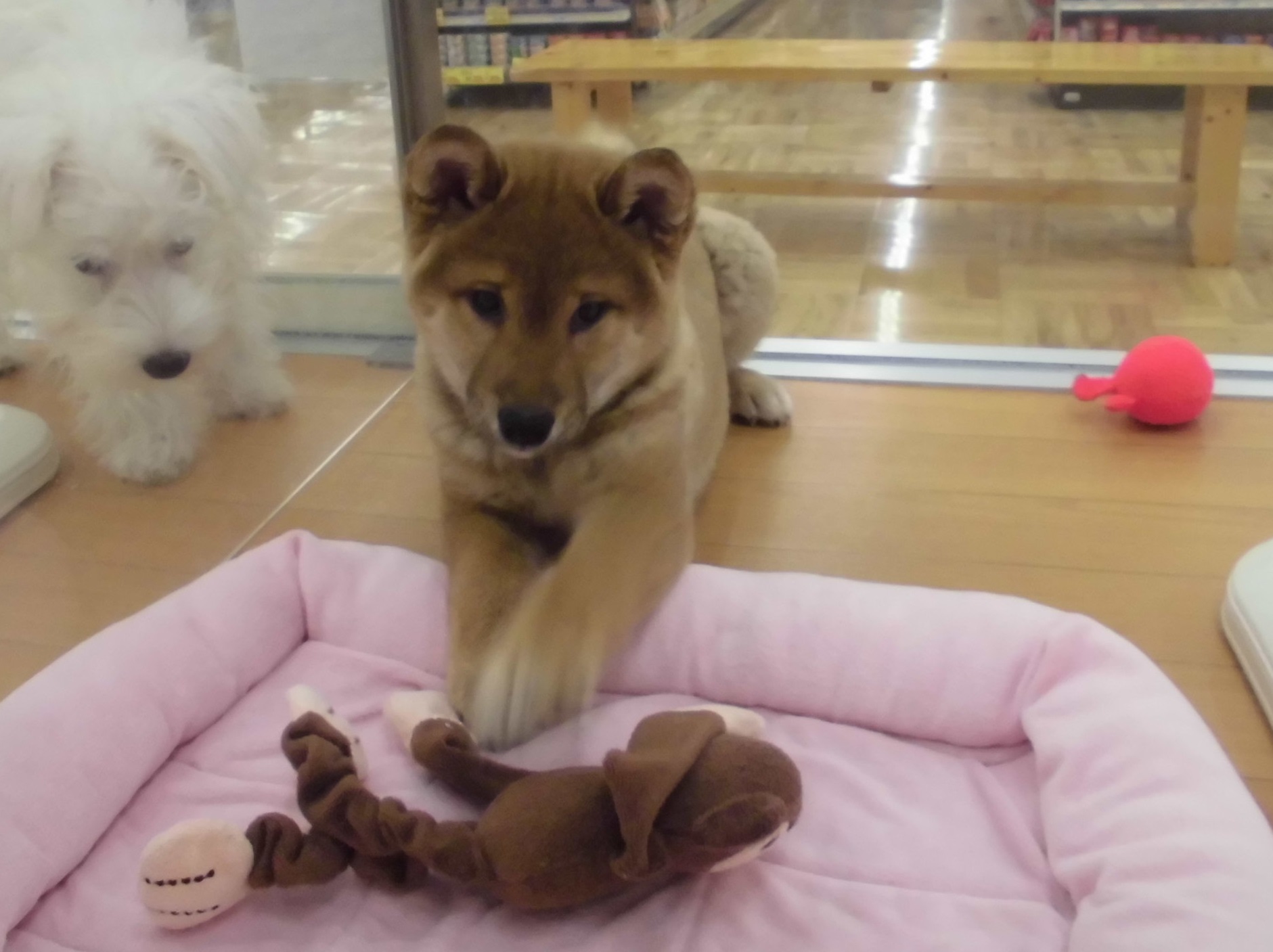 毎月１０・１１日は、、、