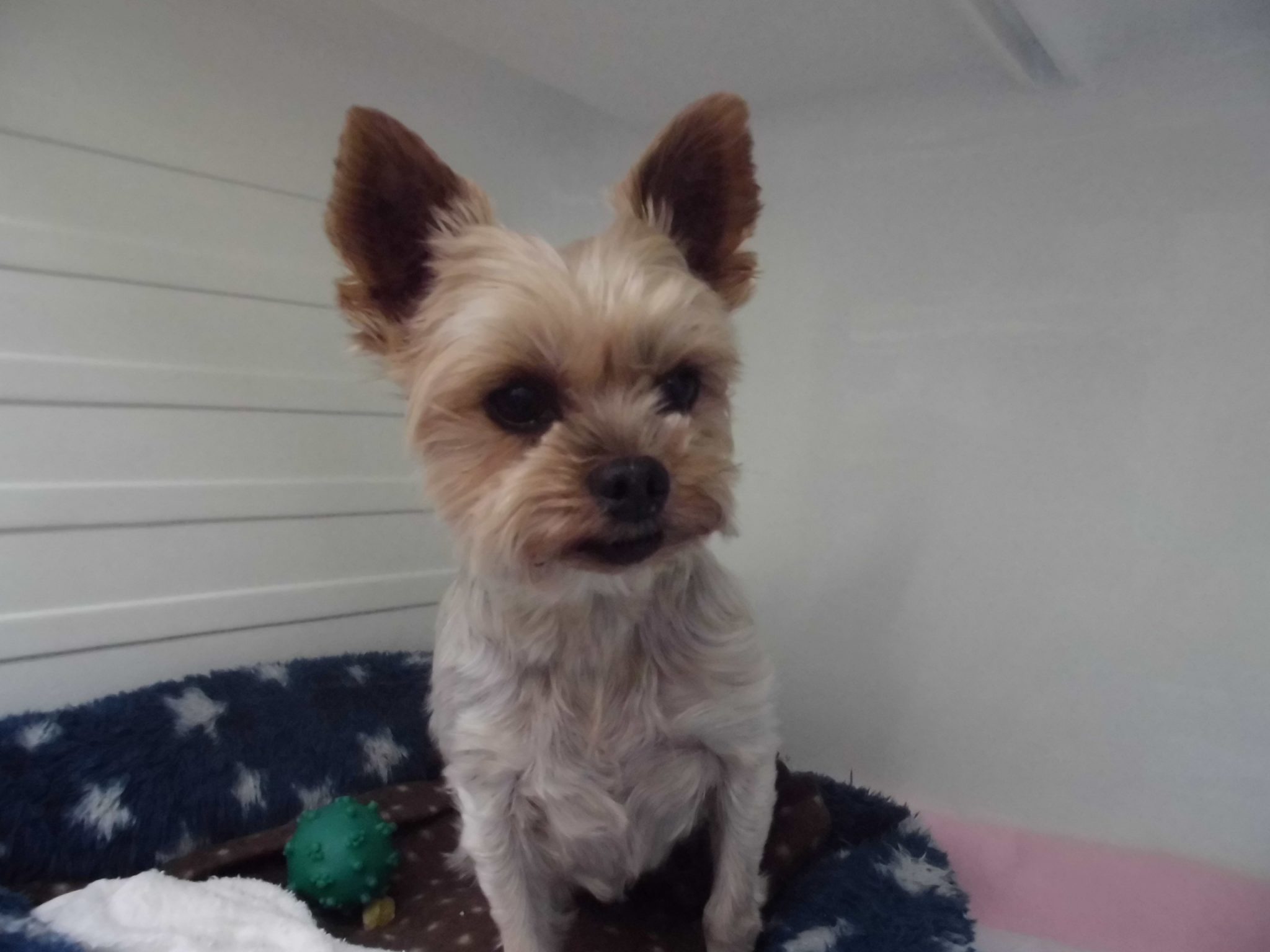 ホテルご利用のお友達紹介～♪