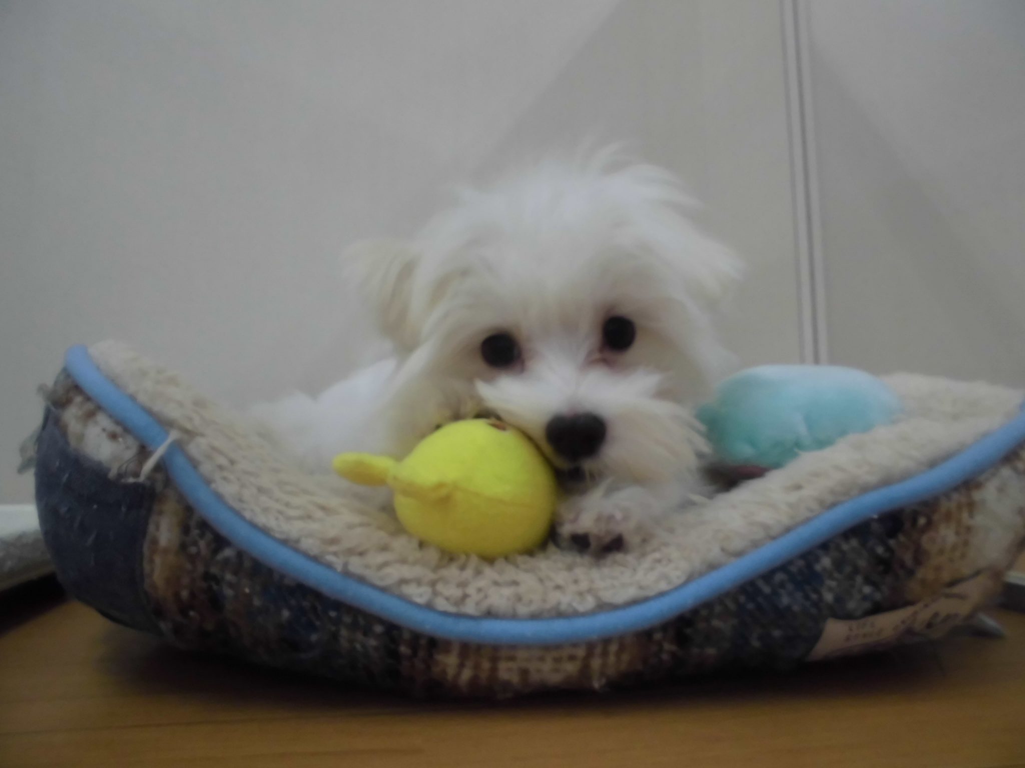 ☆新しいお友達☆