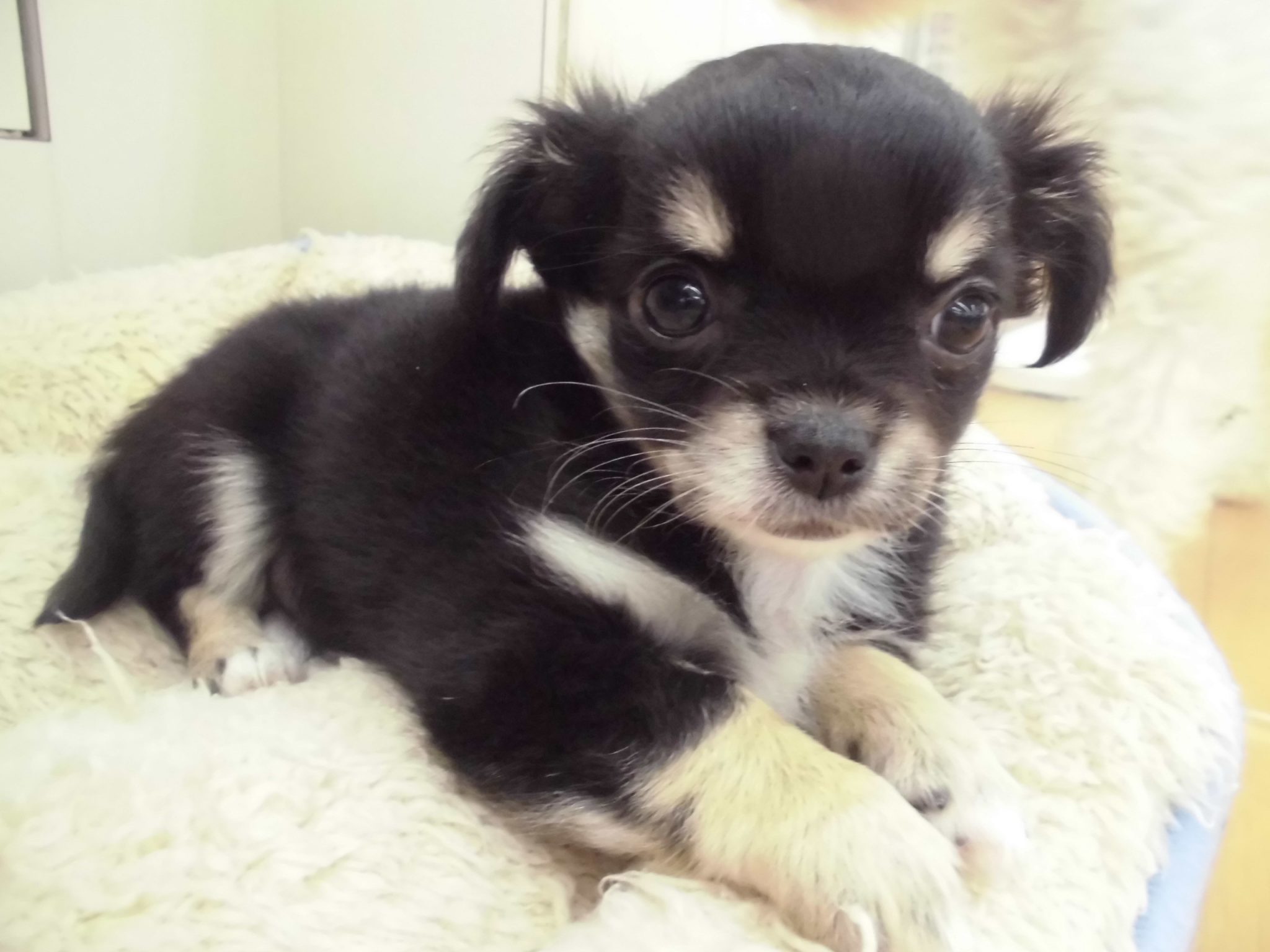 ☆清田店に仲間入り☆