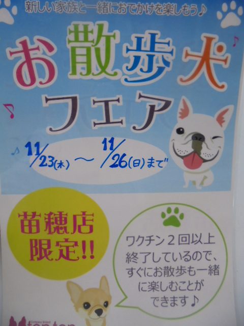 新メンバー紹介＆イベント告知♪