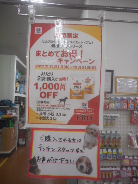 お得なキャンペーンのお知らせです☆