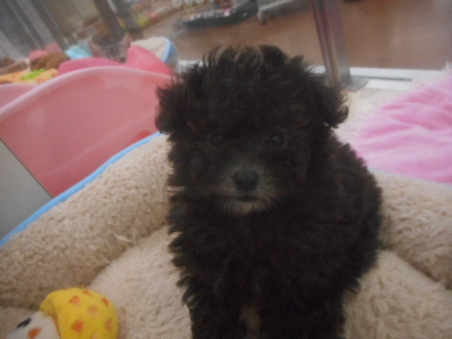 またまた小っちゃい子が！！