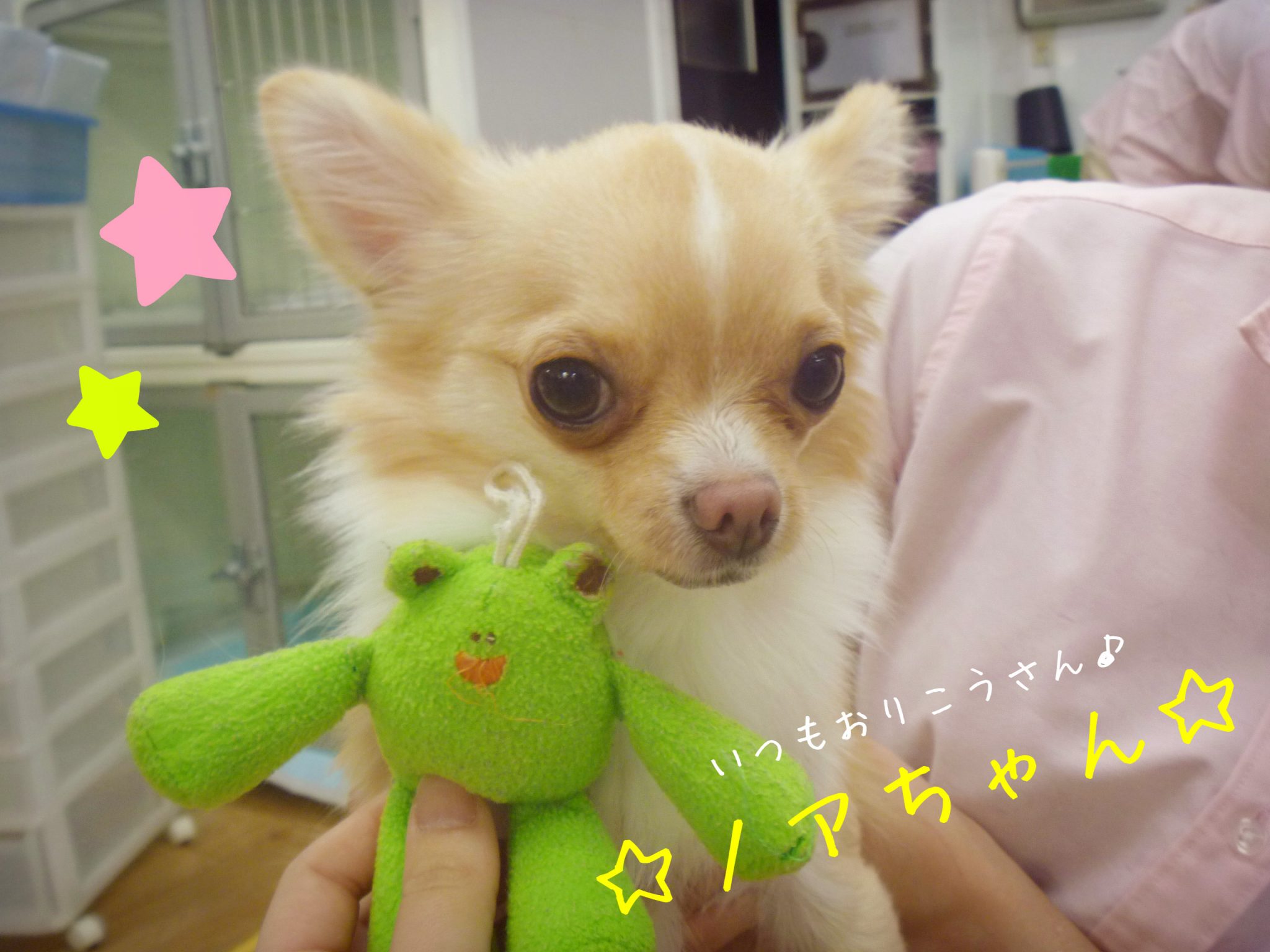 ★ホテル♪ノアちゃん★