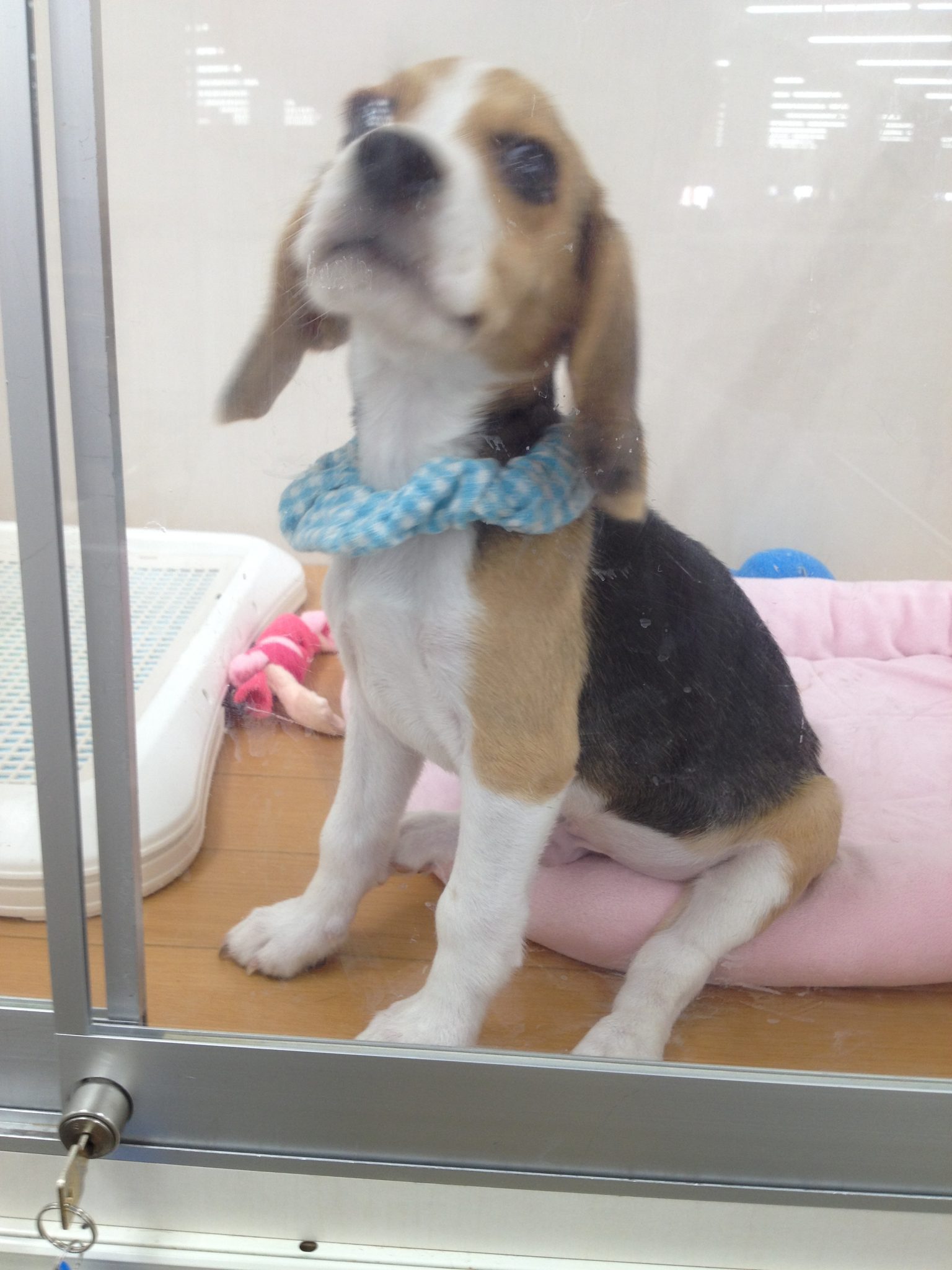 ☆　お家が決まりました！　☆