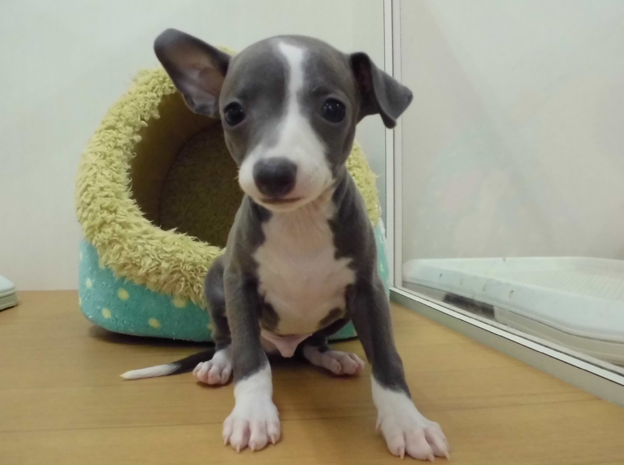 ☆新しいお友達☆