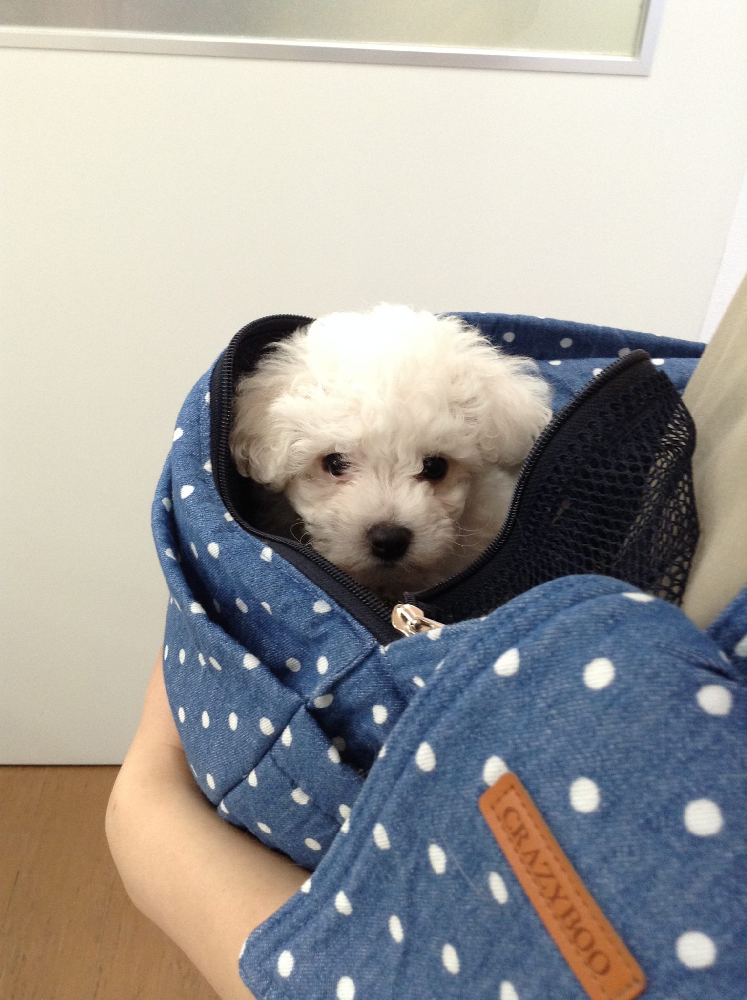 今日はトレーニング！！