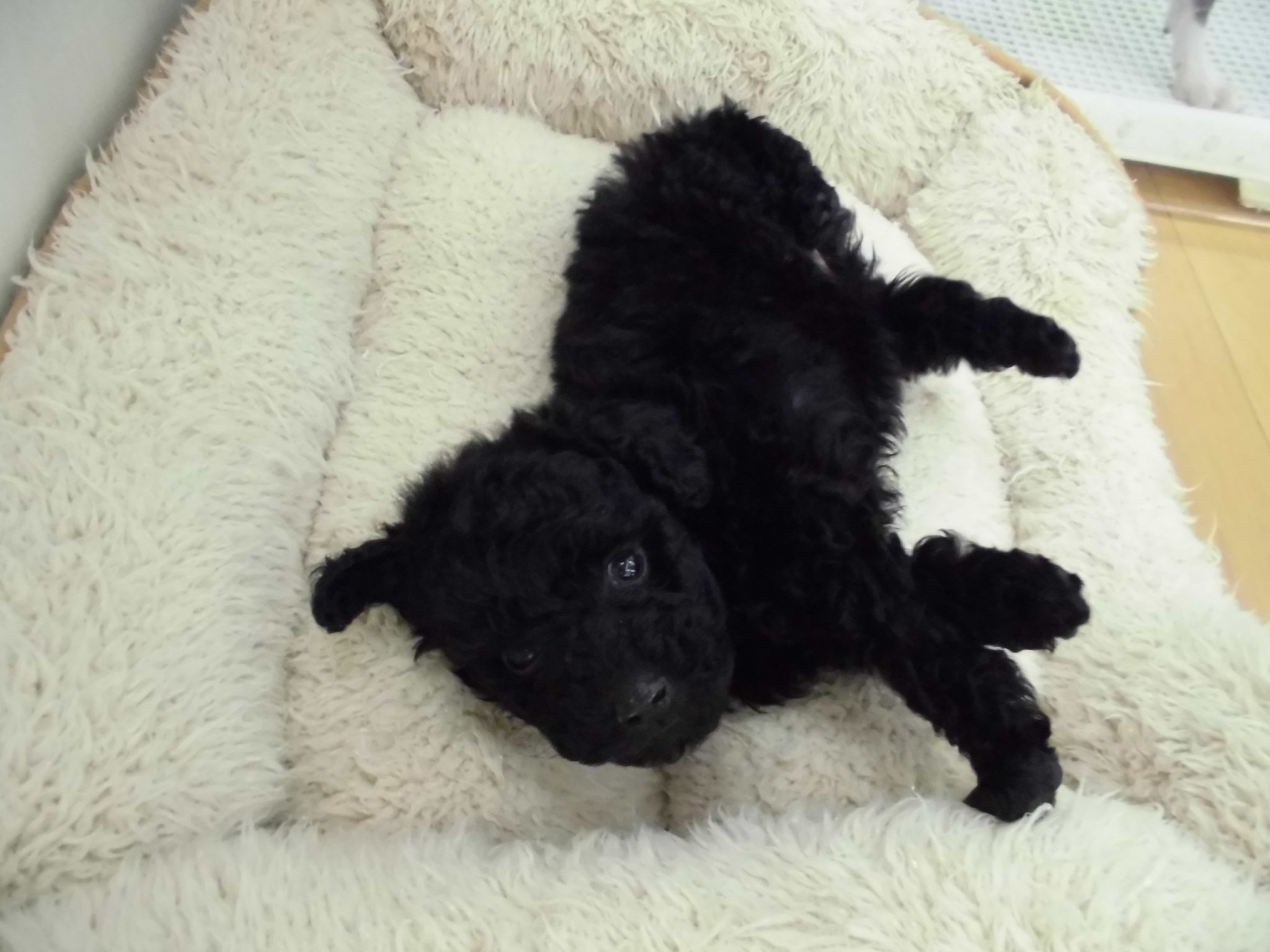 新しいお友達(^^)