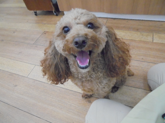 初めてのお泊り♪♪