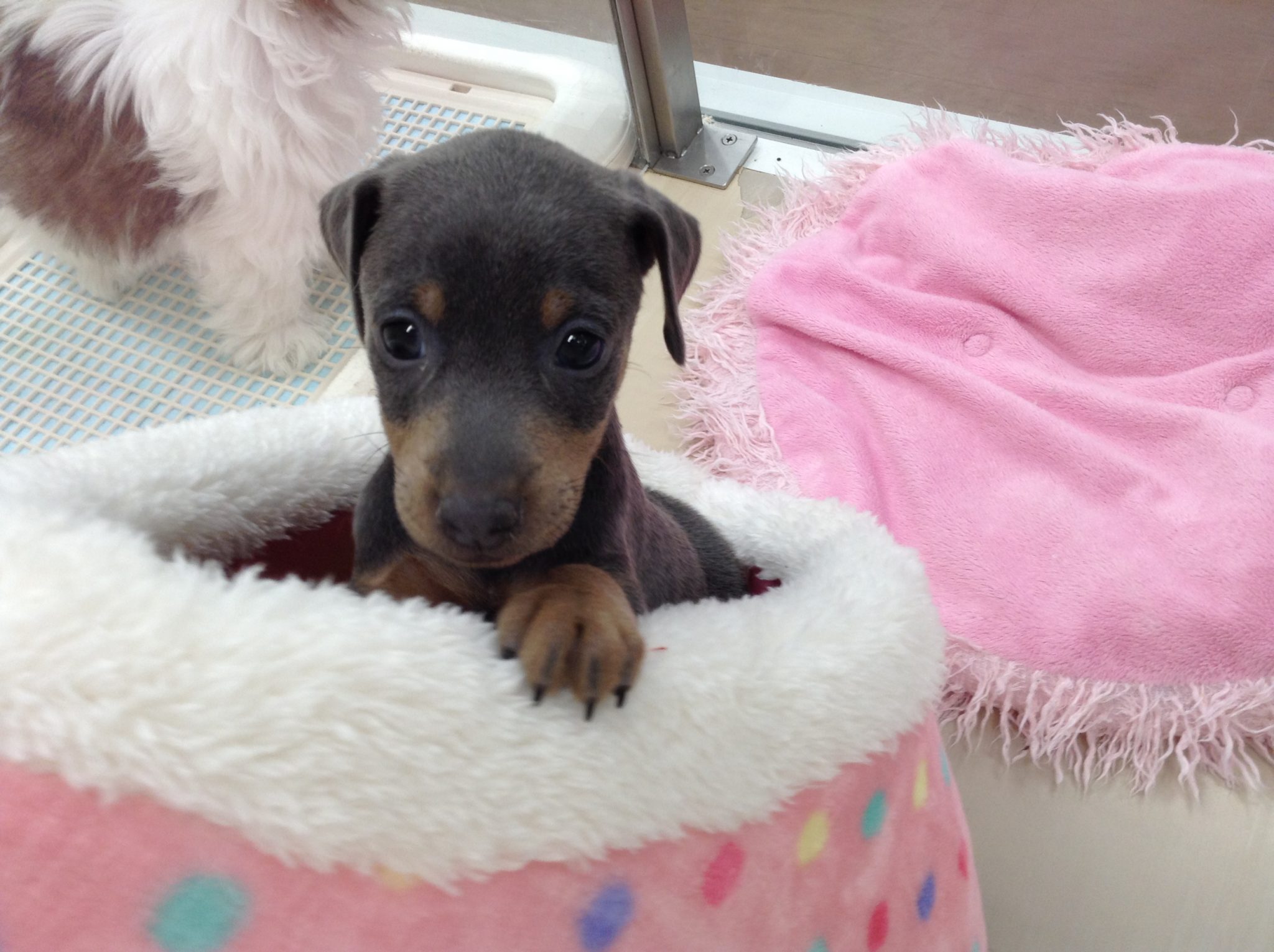 朝からにぎやかです♬