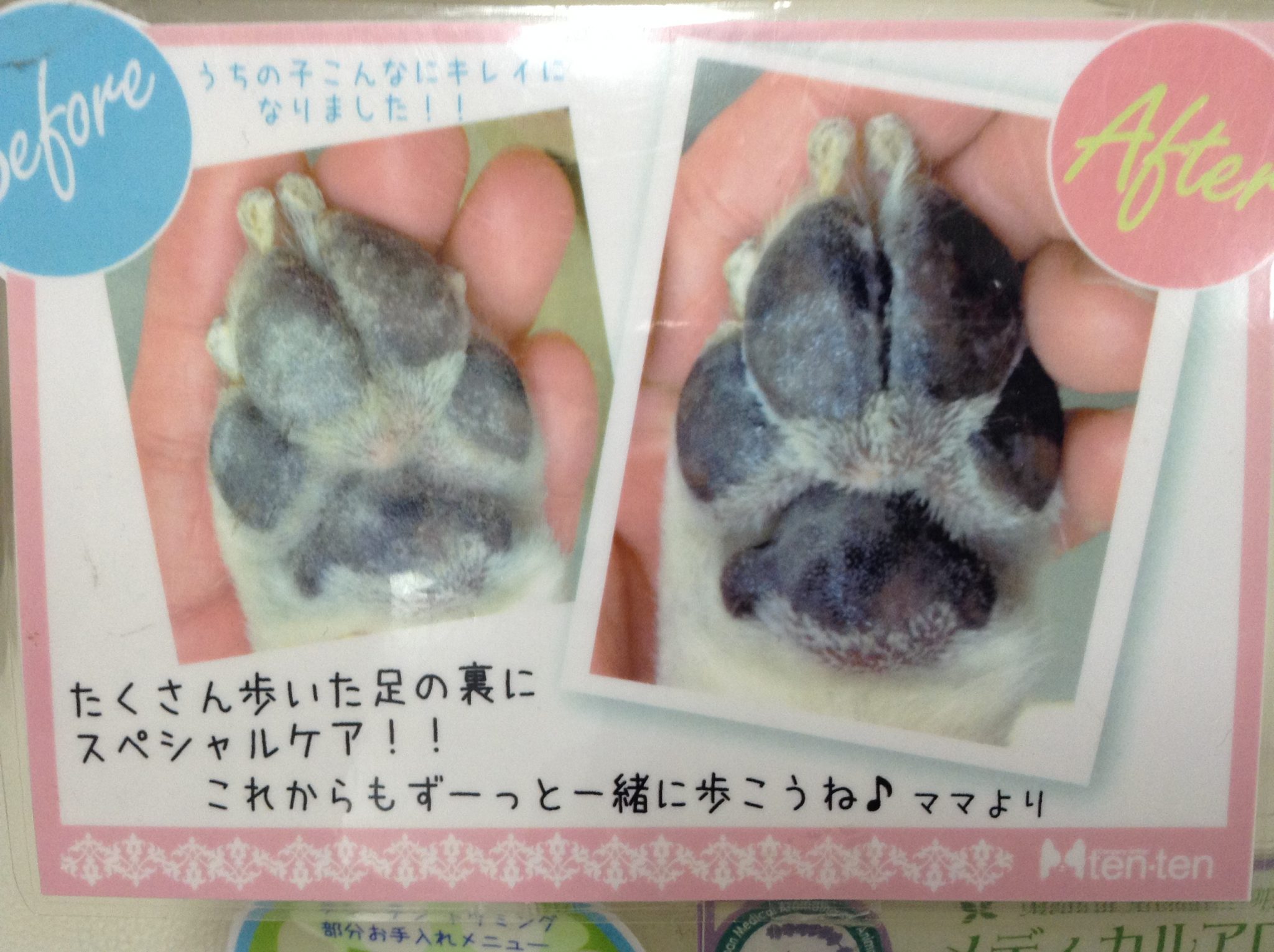 季節のオススメ☆肉球クリーム