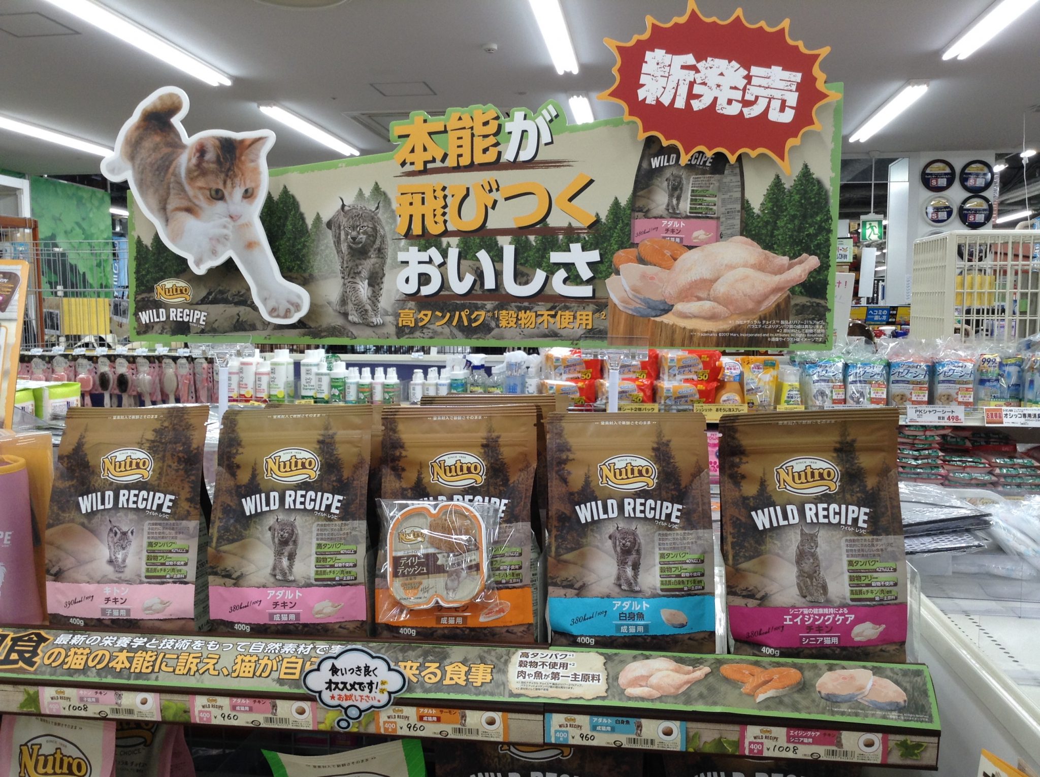 キャットフードの紹介♬