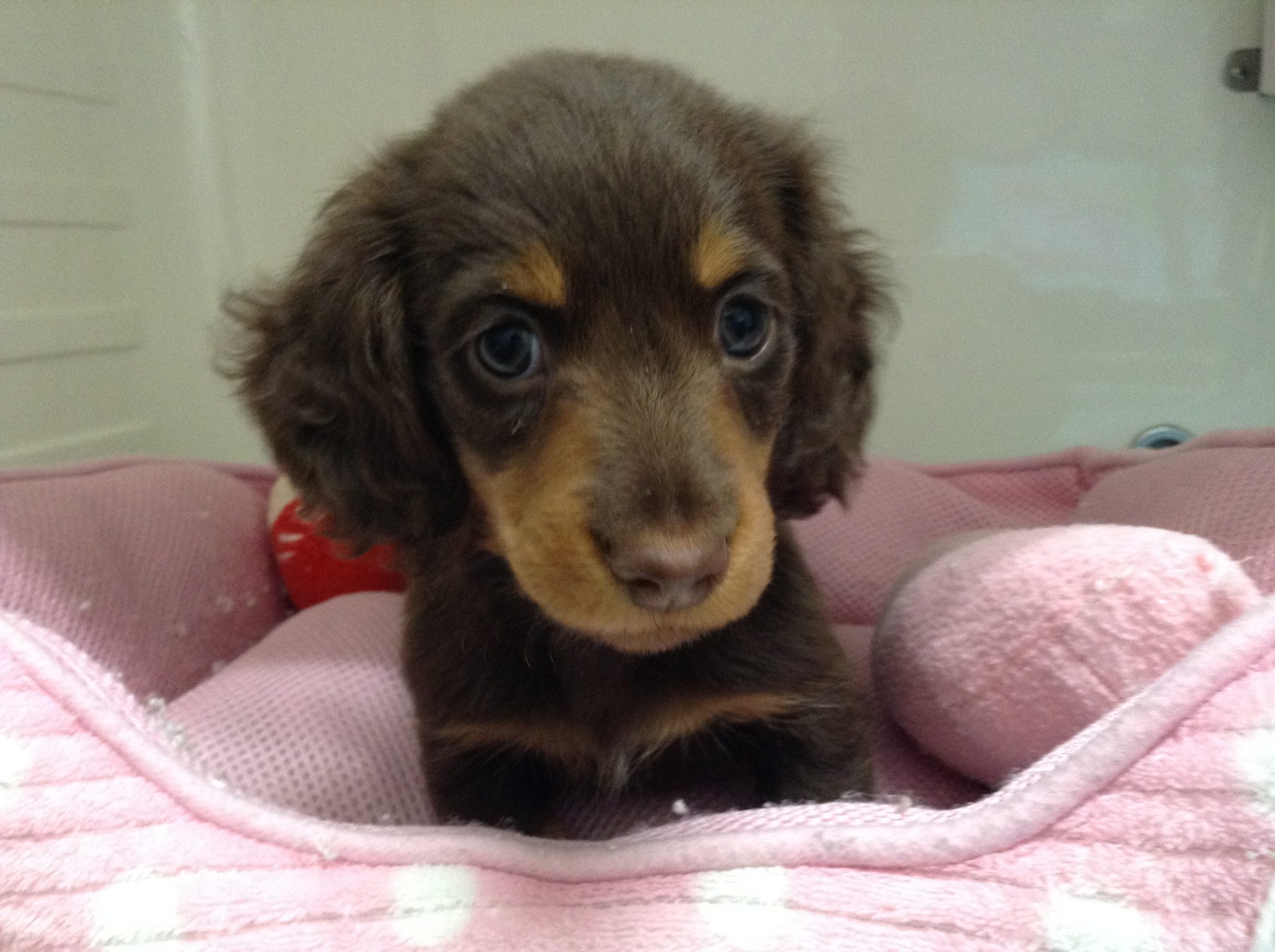 かわいい子ちゃんが！！