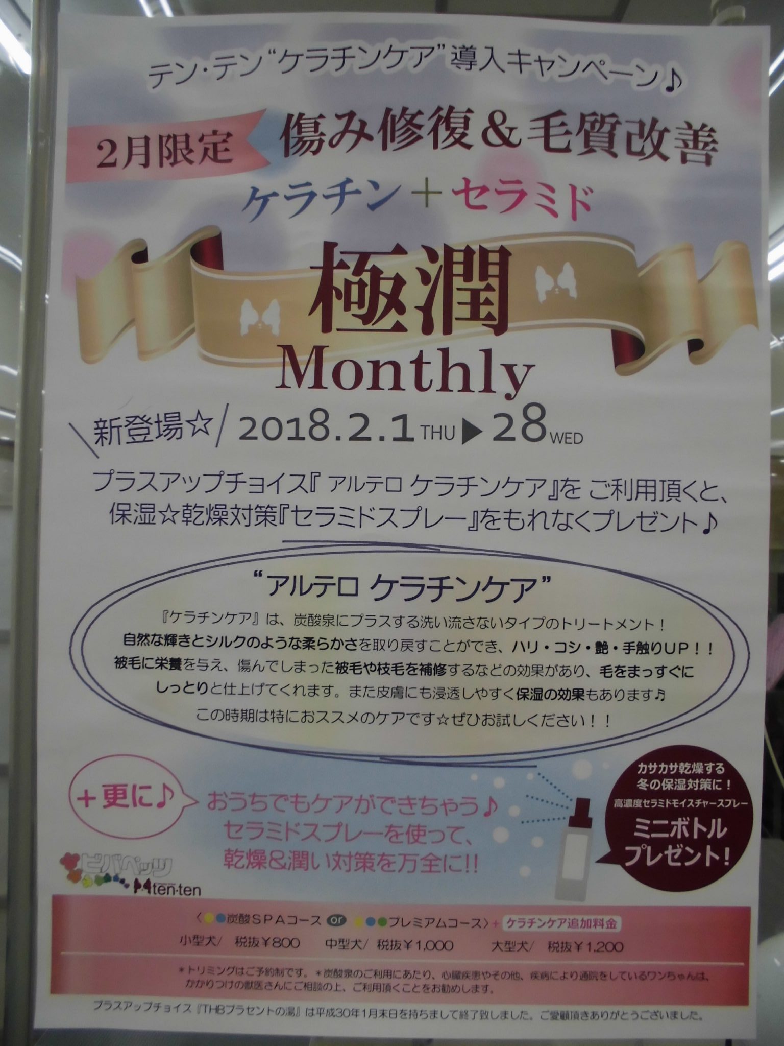 2月トリミングキャンペーン◎