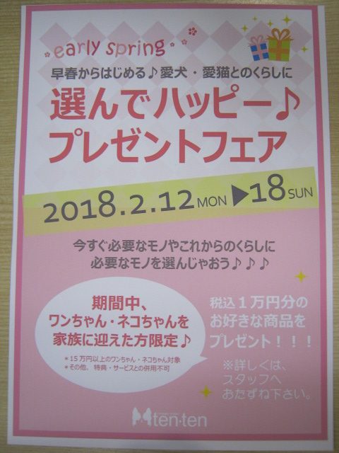 新しい仲間＆プレゼントフェアのお知らせ☆★