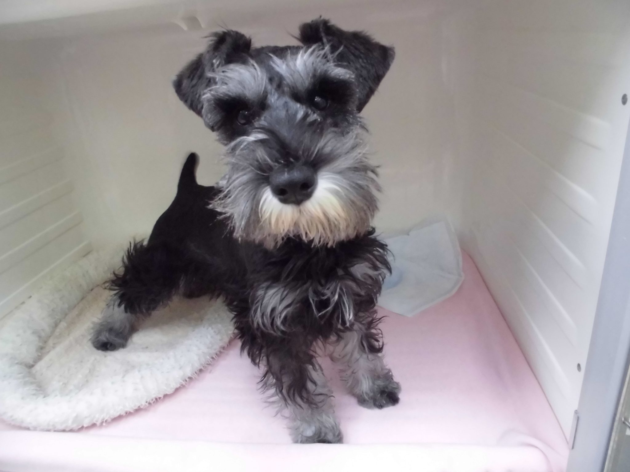 初めてのお泊り★★