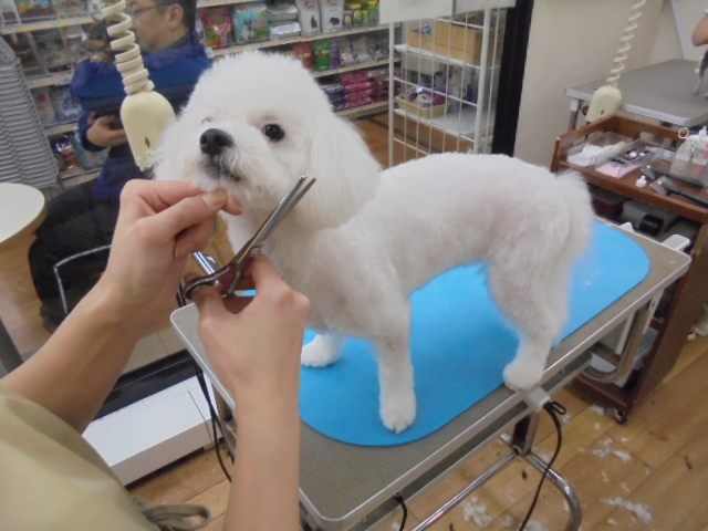 初めてのお泊り♪