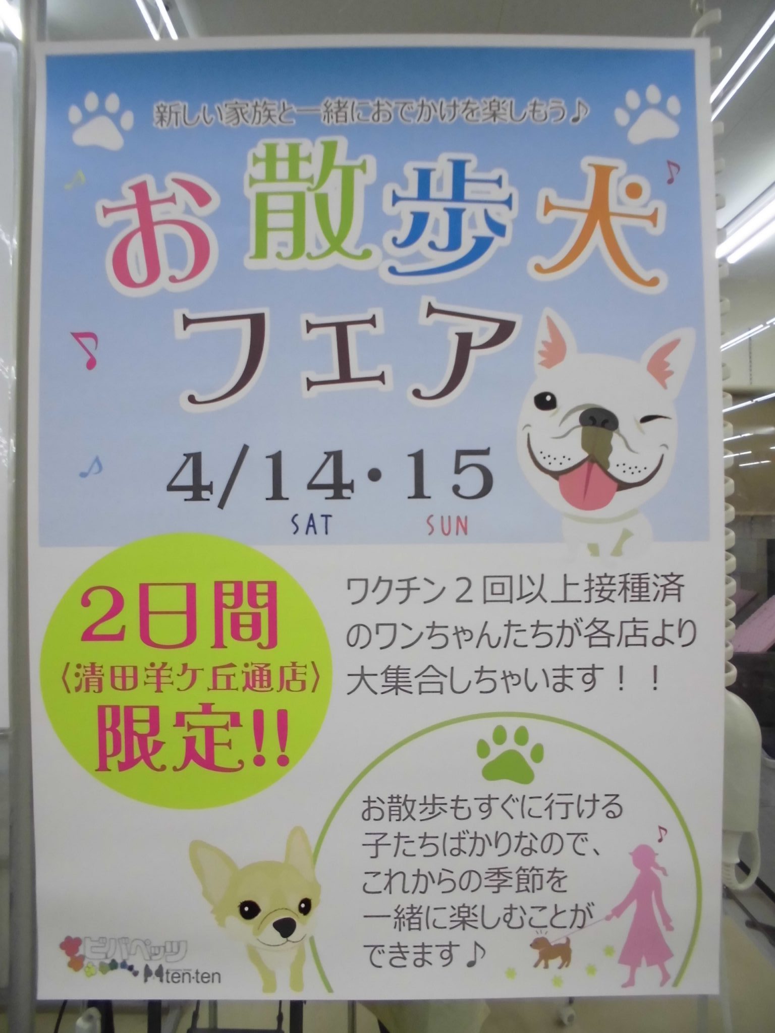 お散歩犬フェア開催決定！！！