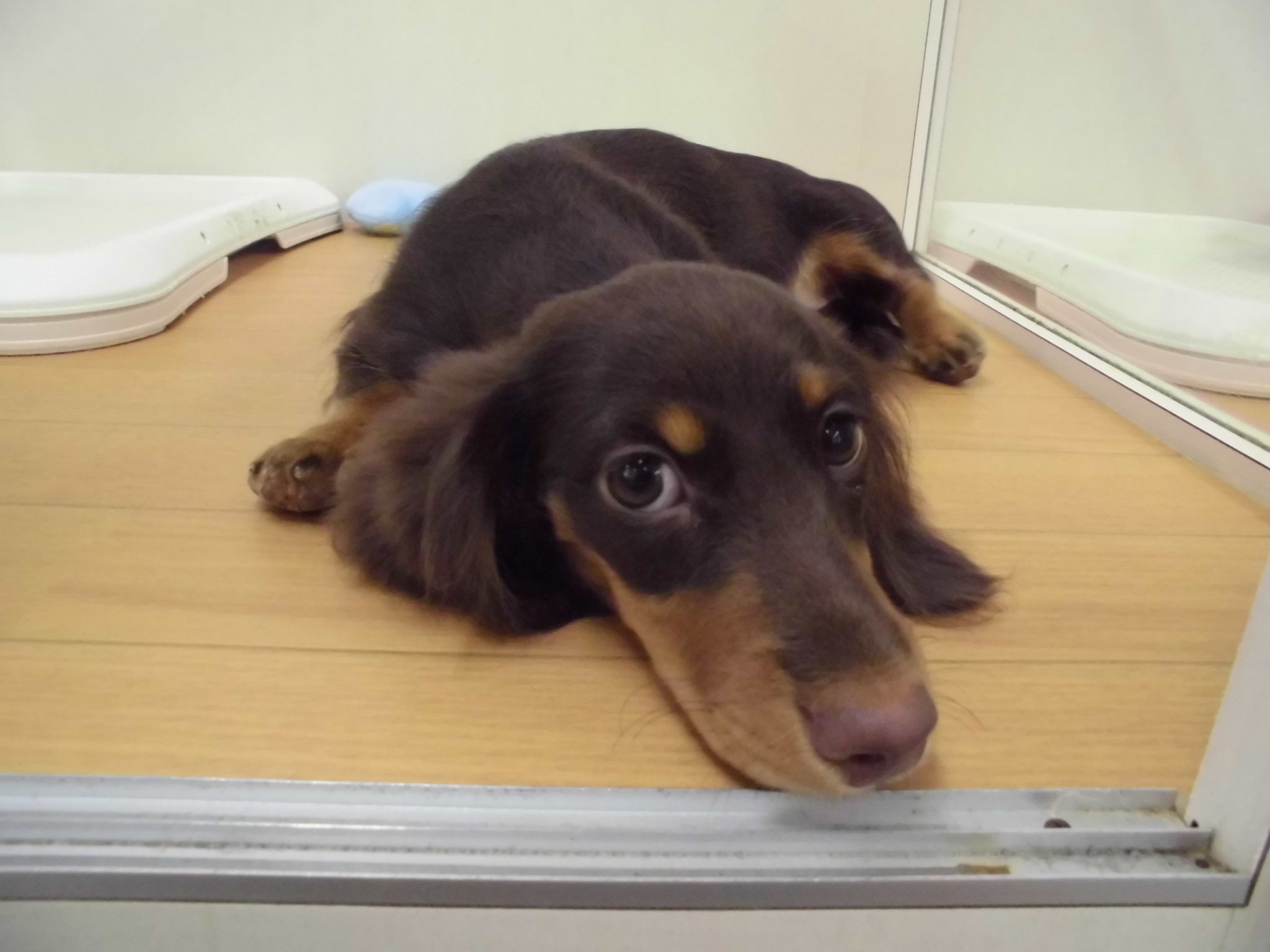 ★清田店お友達紹介Part3★