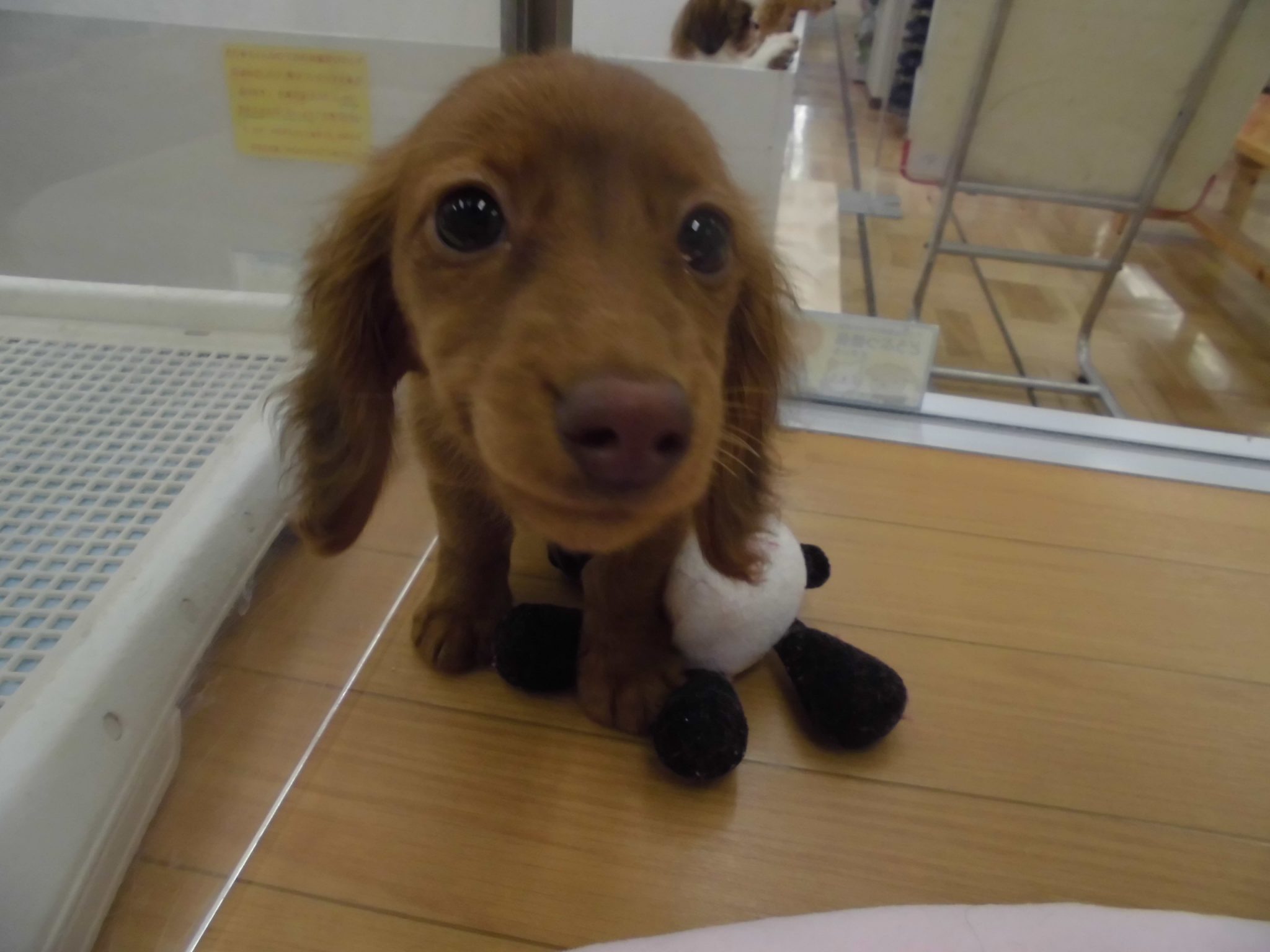 ★清田店お友達紹介Part2★