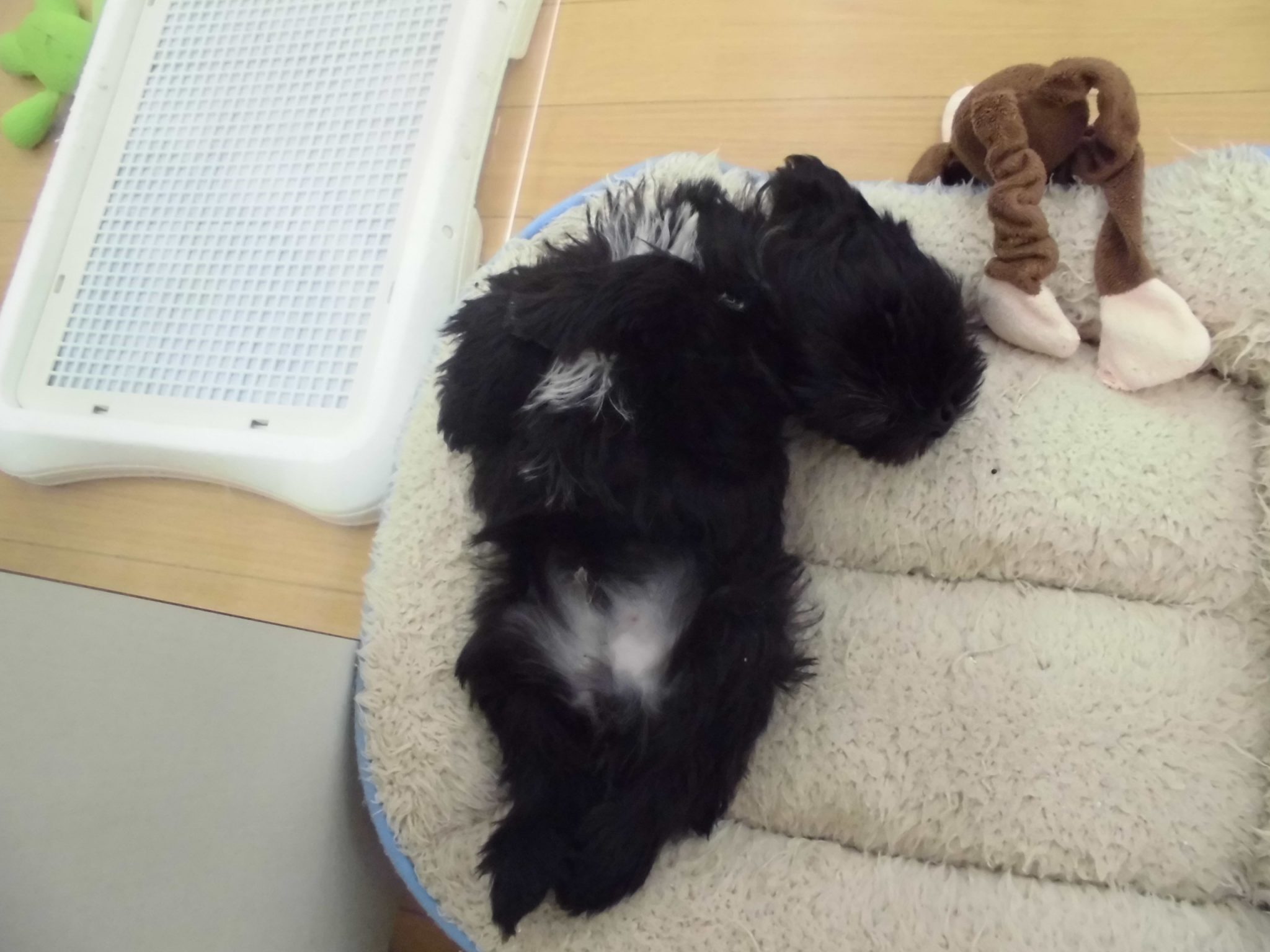 ★清田店お友達紹介Part１★