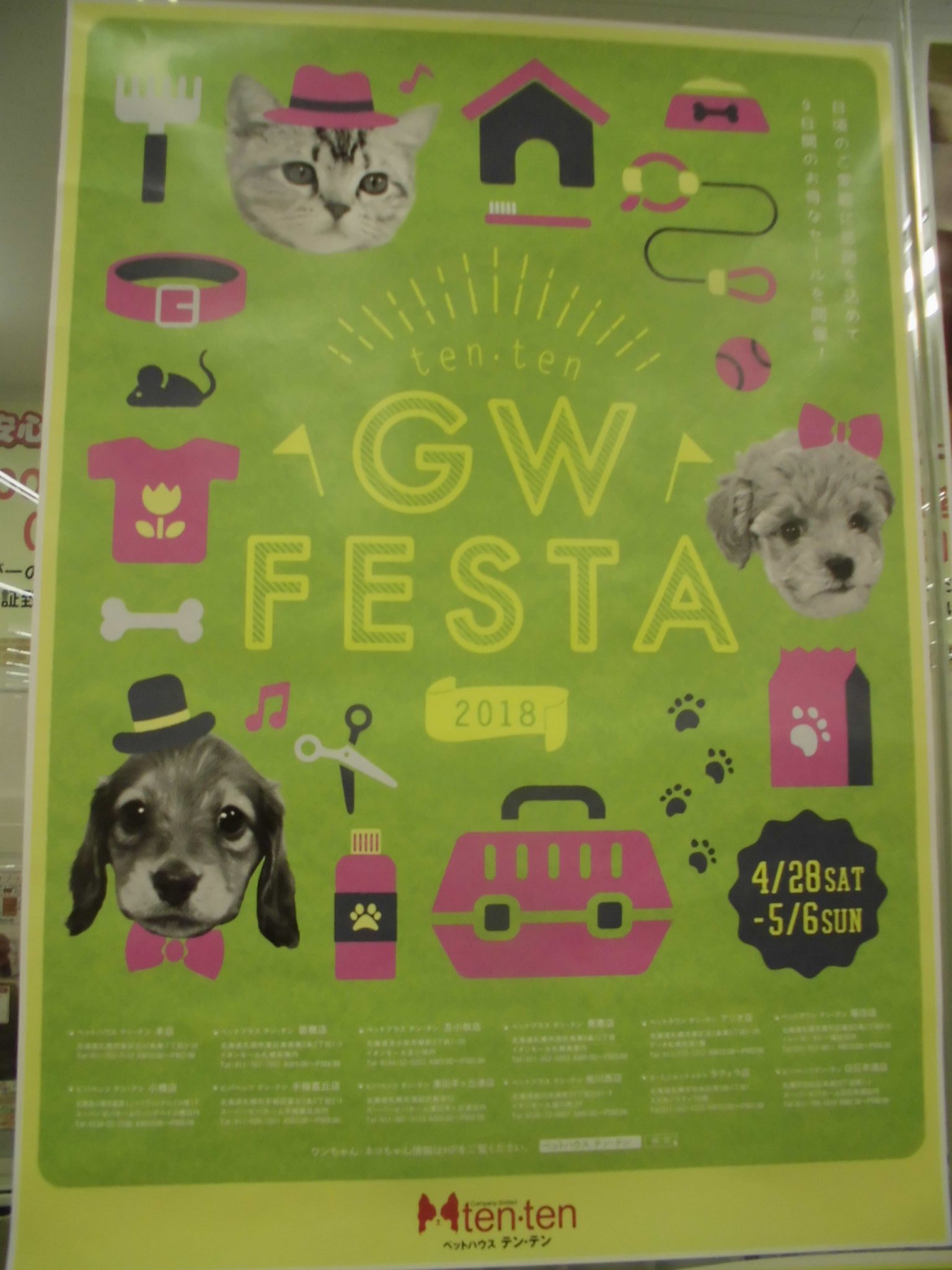 GWフェスタ☆☆☆