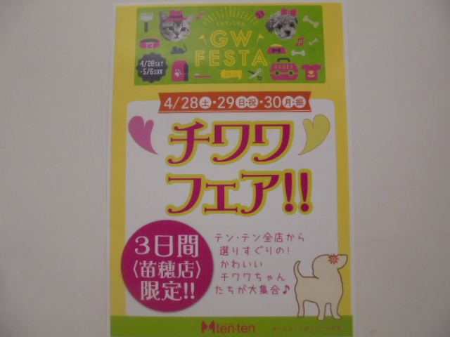 ☆チワワフェア☆